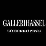 Galleri_Hassel